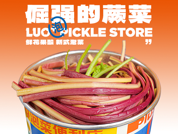 倔强的蕨菜.jpg
